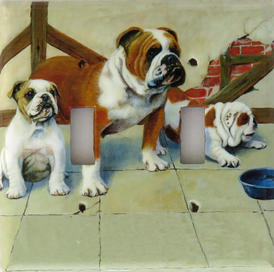 Bulldog 1C DLSP-P