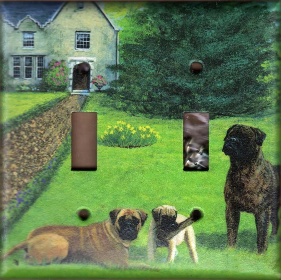 Bullmastiff 2A DLSP-P