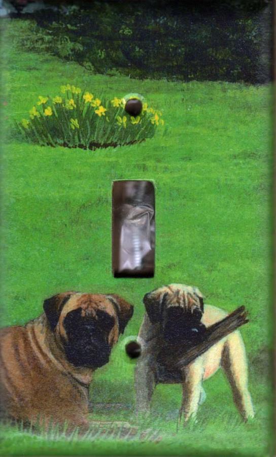 Bullmastiff 2A SLSP-P