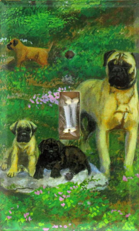 Bullmastiff 3A SLSP-P