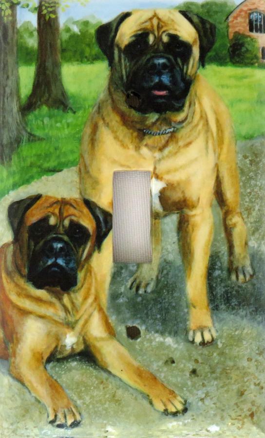 Bullmastiff 4A SLSP-P