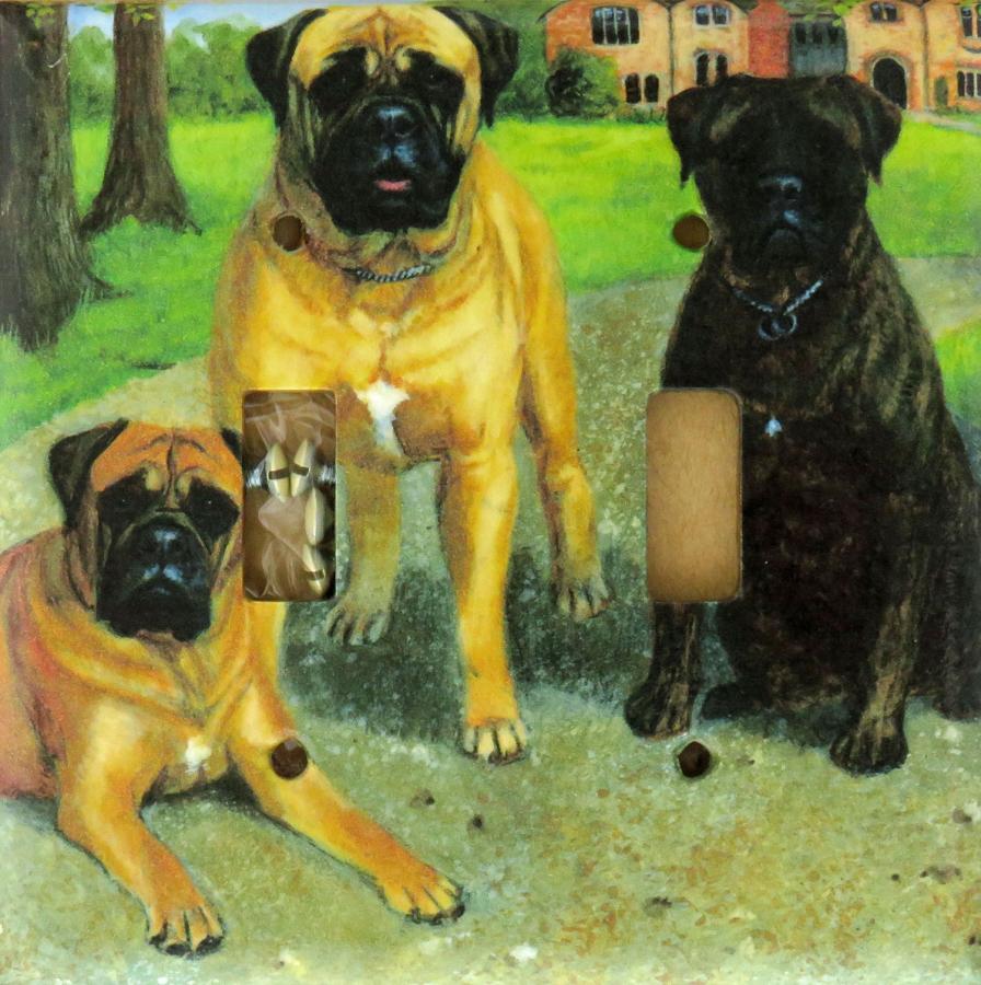 Bullmastiff 4B DLSP-P