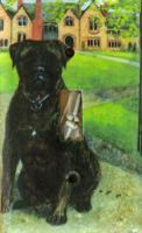 Bullmastiff 4B SLSP-P