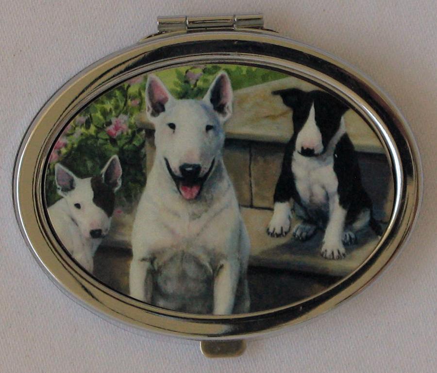 Bull Terrier 1 compact