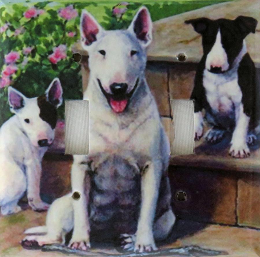 Bull Terrier 1A DLSP-P
