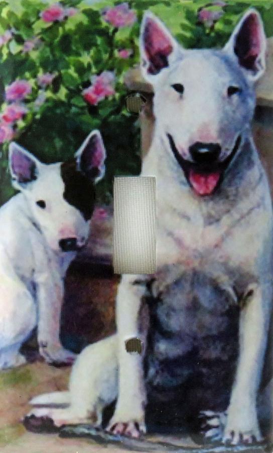 Bull Terrier 1B SLSP-P