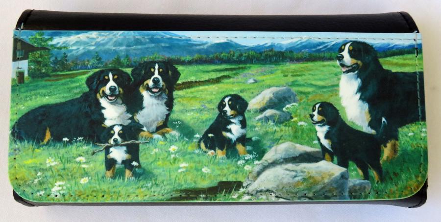 Berner 4-5 glasses case