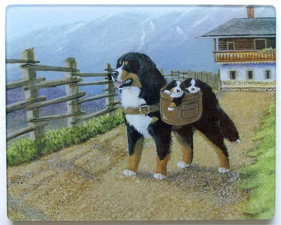 Bernese Mt Dog 2 Tempered Glass Cutting Board
