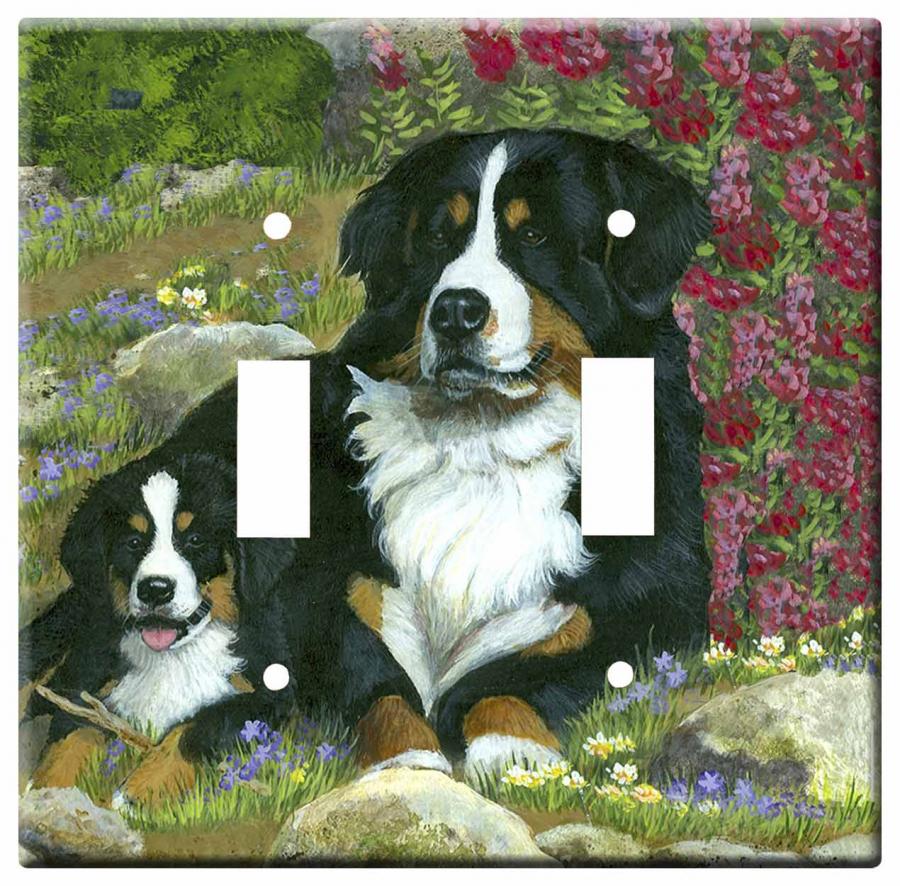 Berner 3a dlsp-M