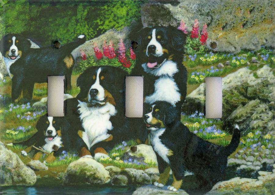 Bernese Mt Dog 3A TLSP-P