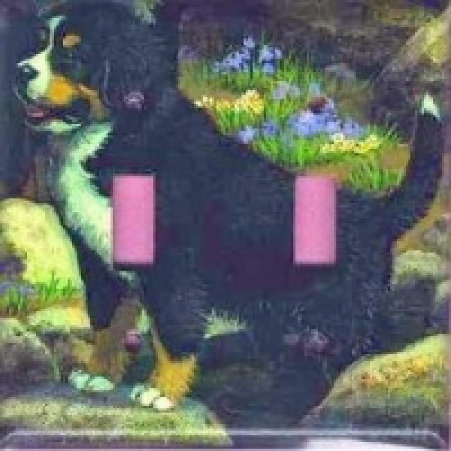 Berner 3B DLSP-P