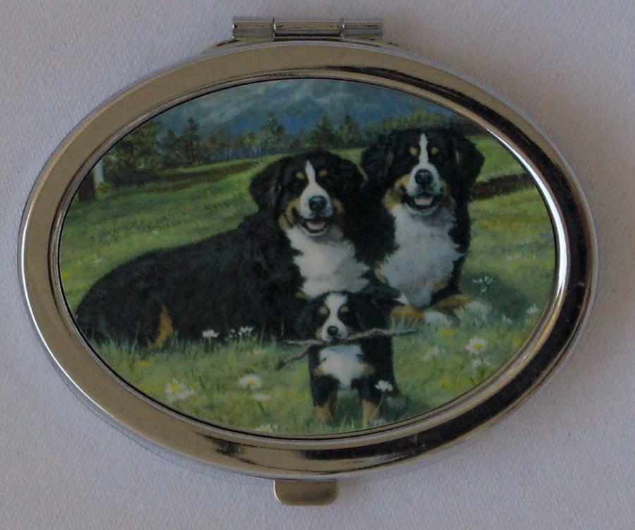 Bernese Mt Dog 4 compact