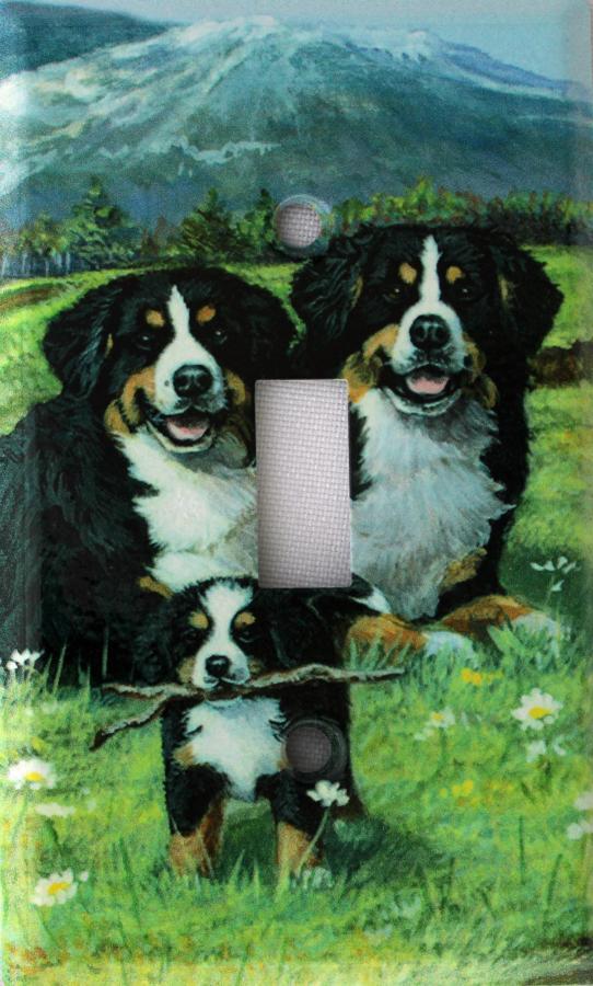 Berner 4A SLSP-M
