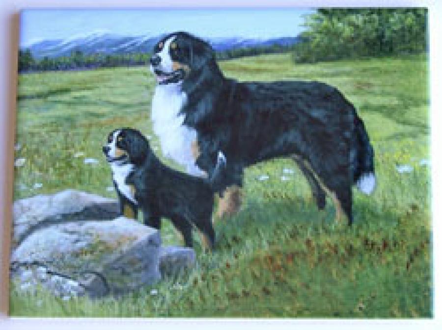 BMD5-6x8CT