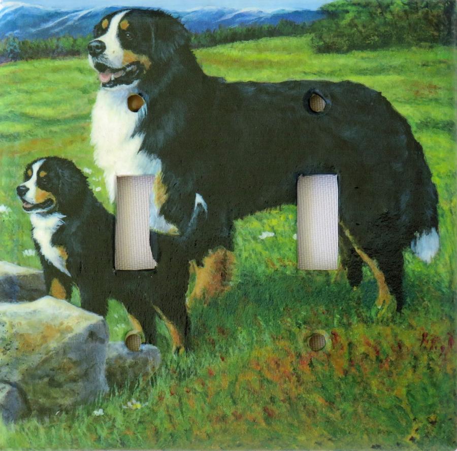 Bernese Mt Dog 5A DLSP-P