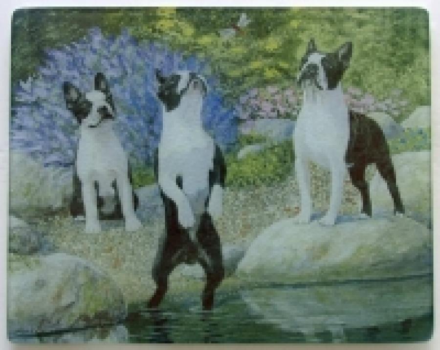 Boston Terrier 1 Tempered Glass Cutting Board