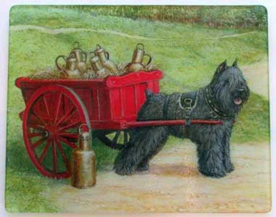 Bouvier 1 Tempered Glass Cutting Board