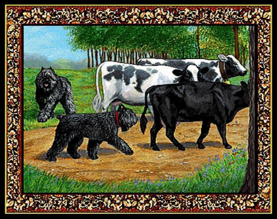 Bouvier Tapestry Placemat #2 - Single
