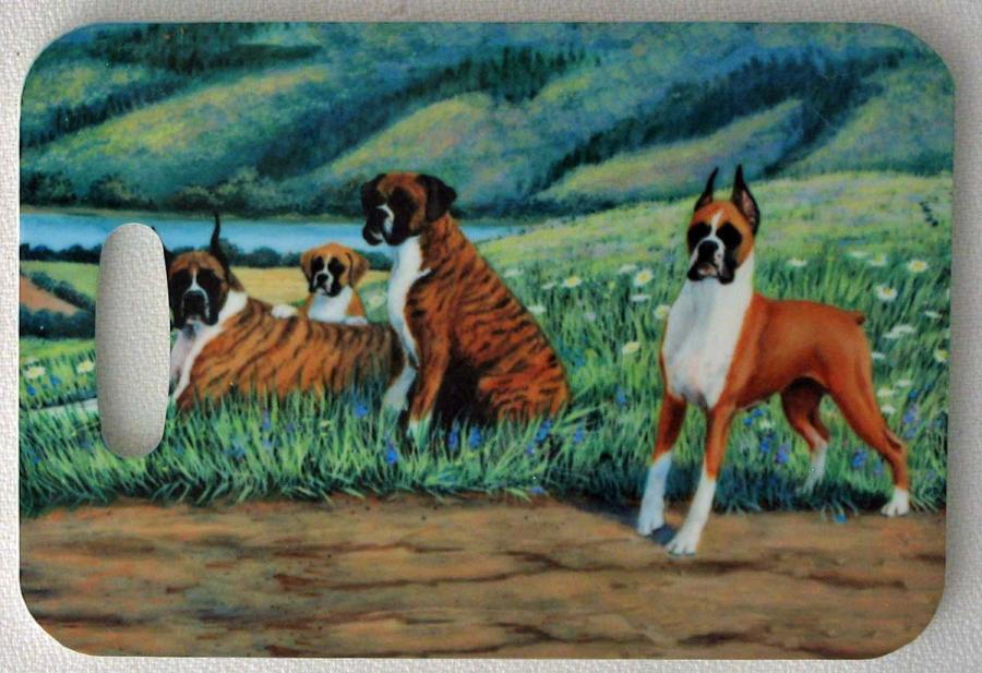 Boxer 3 luggage tag
