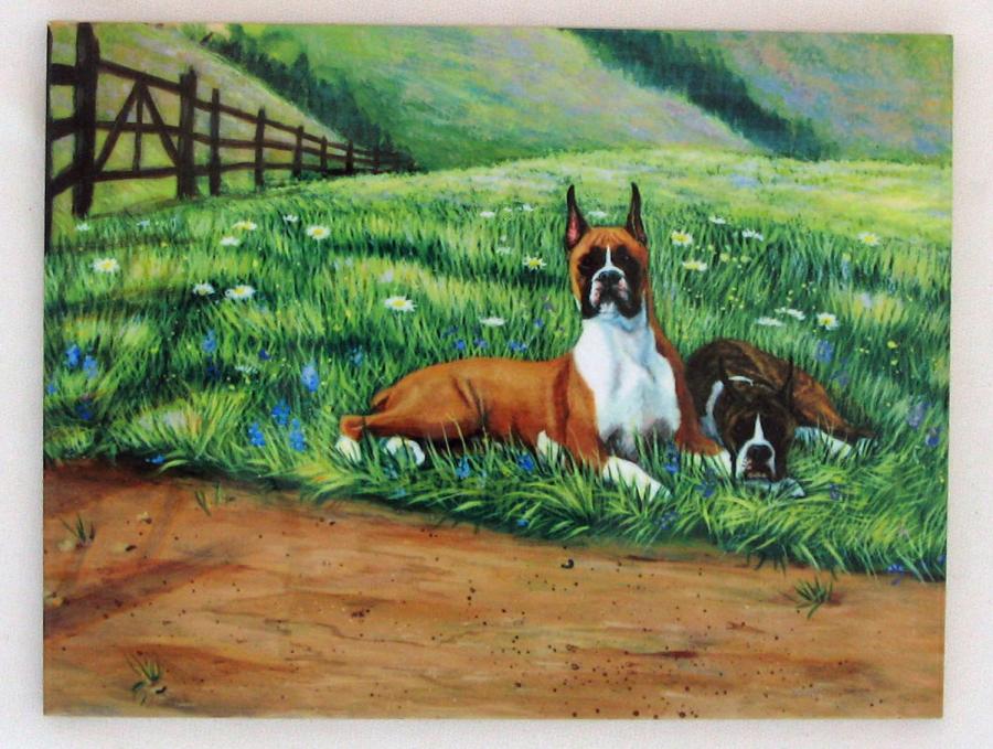 Boxer 4 tile