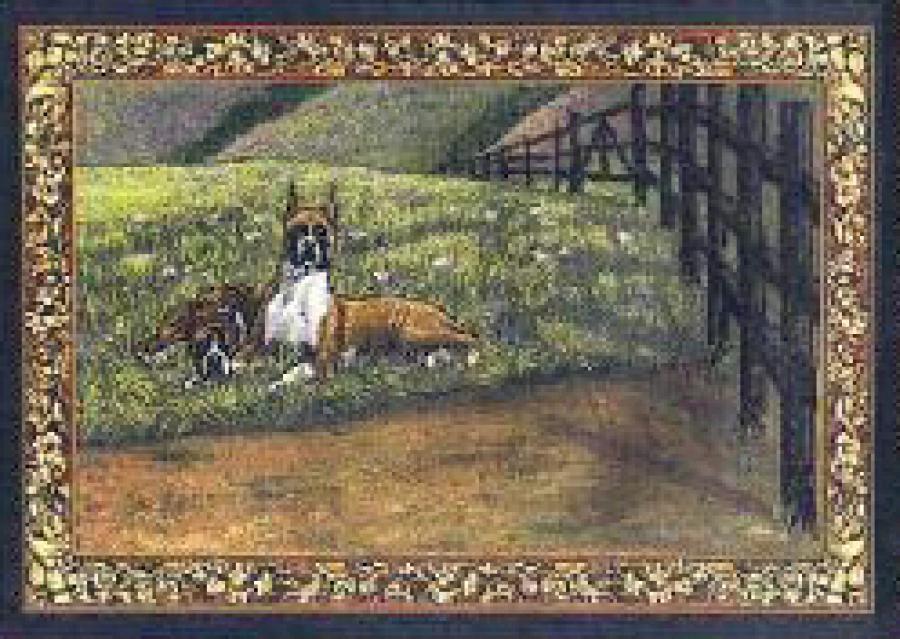 Boxer 4 Single Tapestry Placemat