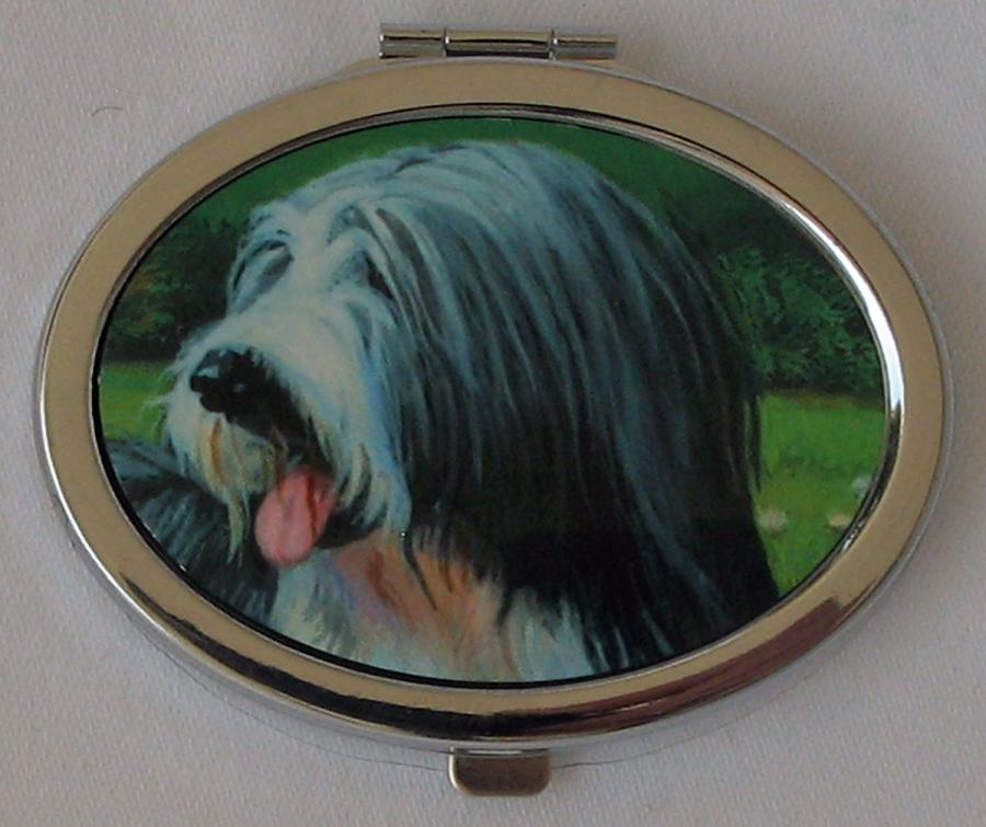 Bearded Collie 5 compact