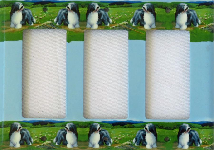 Bearded Collie 5A RTLSP-P