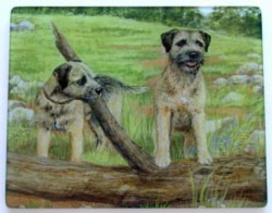 Border Terrier 1 Tempered Glass Cutting Board