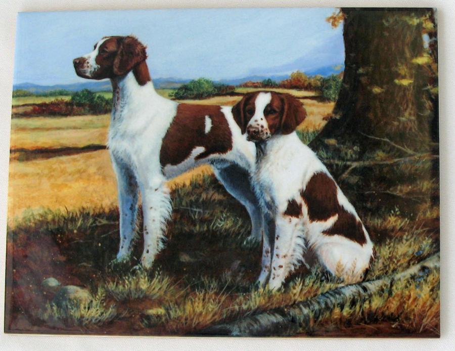 Brittany 4 tile