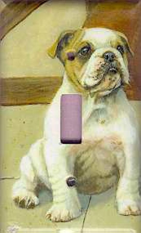 Bulldog Picture Single Light Switch Plate #1B