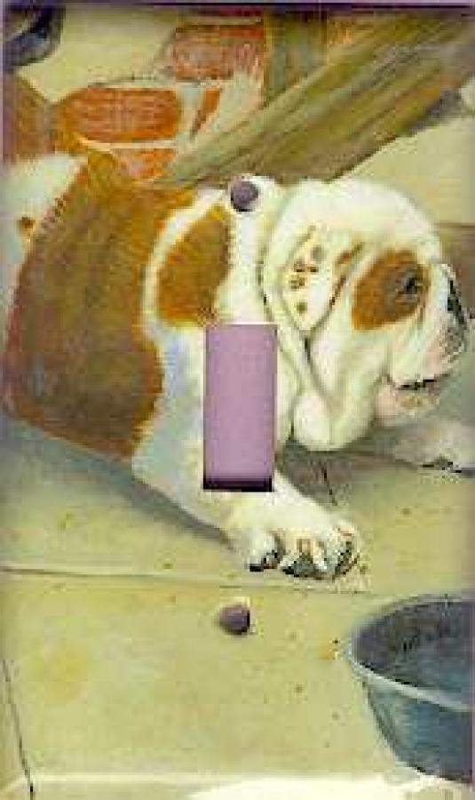 Bulldog Picture Single Light Switch Plate #1C
