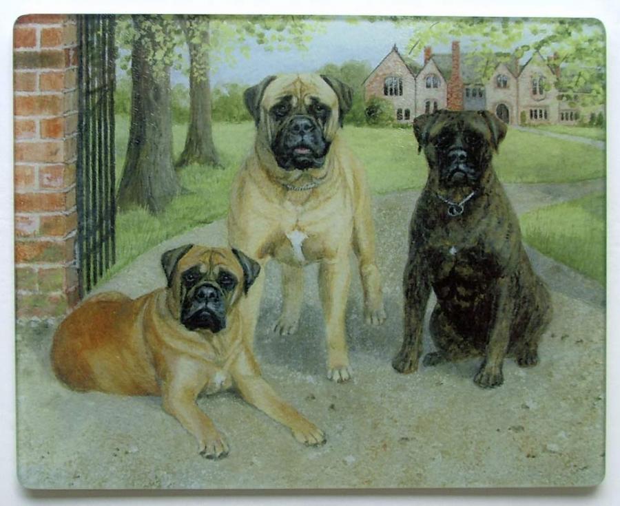Bullmastiff Glass Cutting Board #4