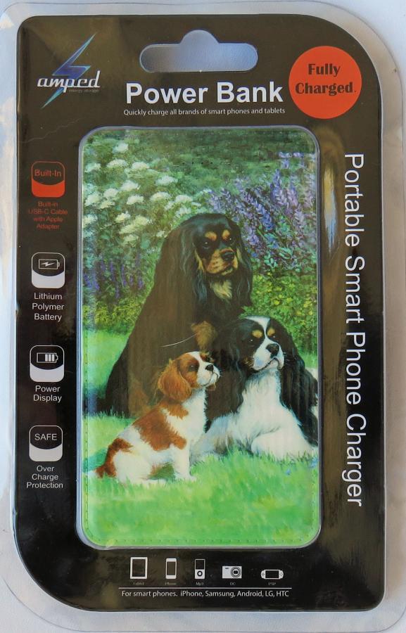 Cavalier 5 power bank