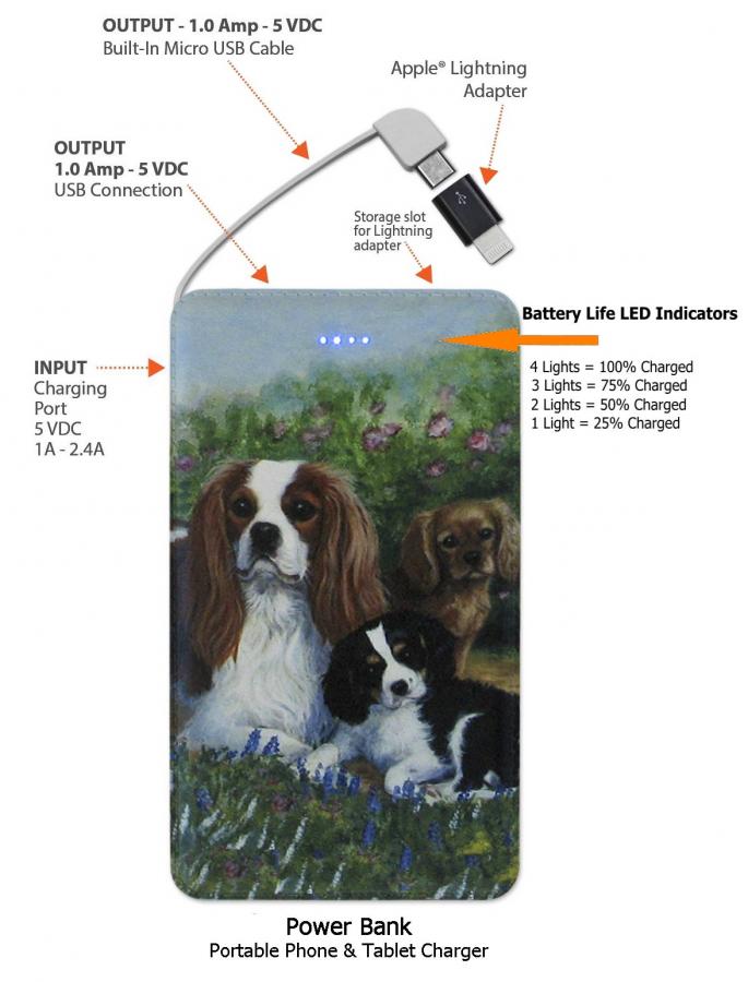 Cavalier power bank