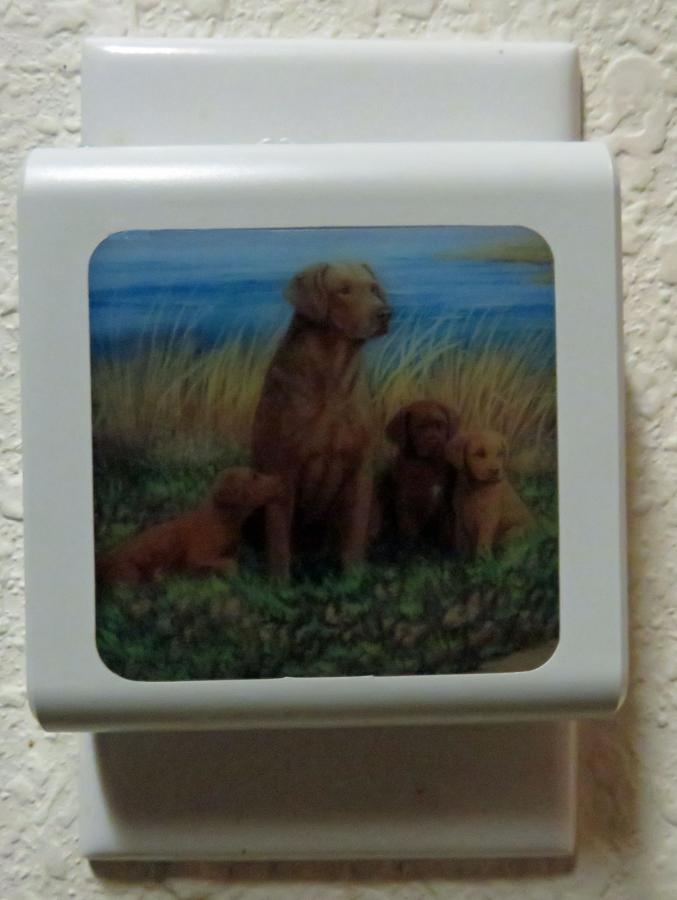 Chessie #1 Nightlight-off