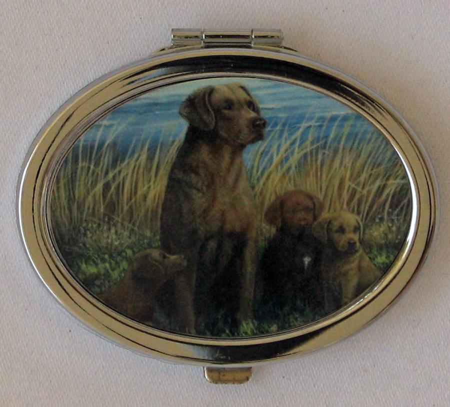 Chessie 1 compact