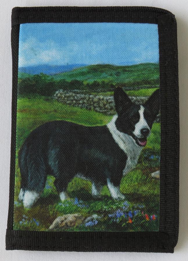 Cardigan 1B trifold