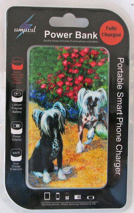 Chinese 1B power bank
