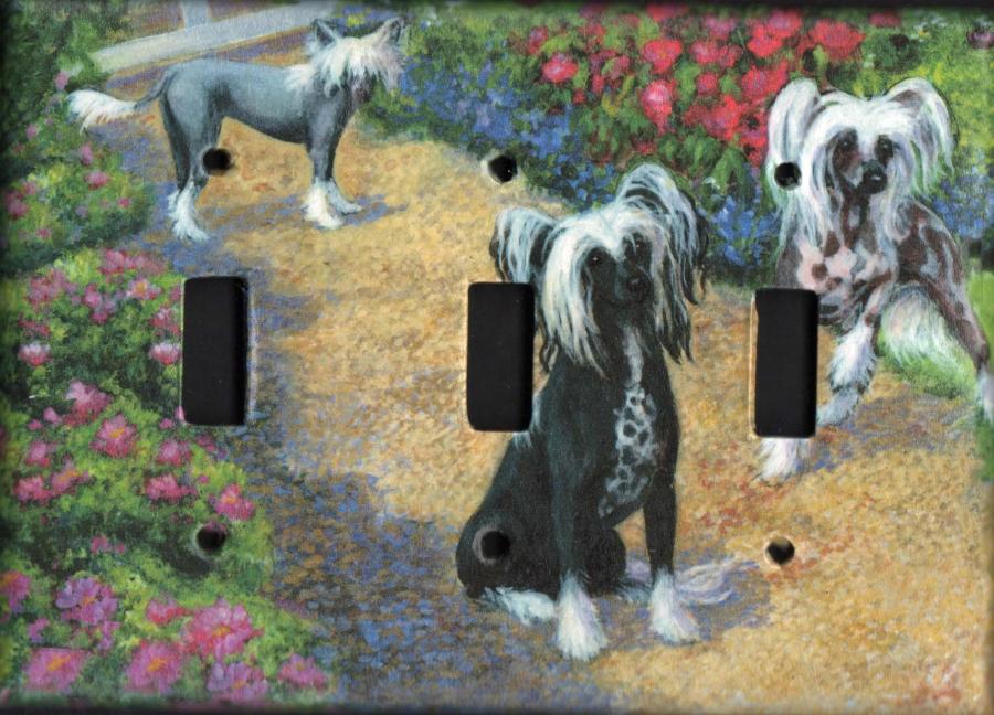 Chinese Crested 1A TLSP-P