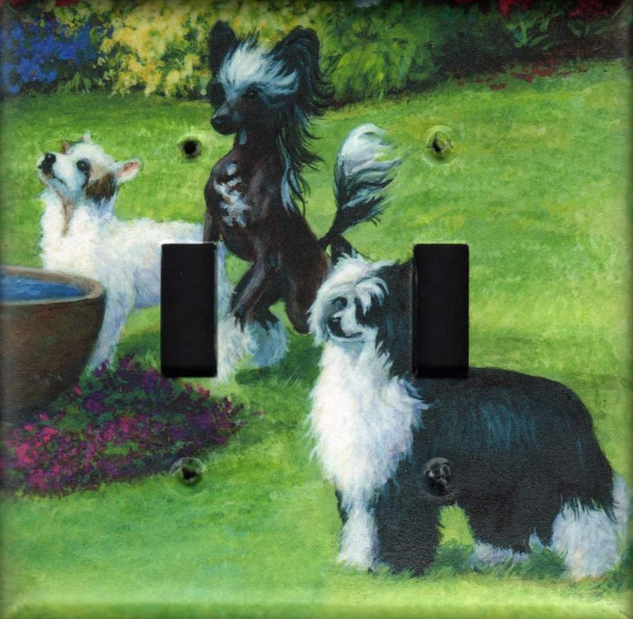 Chinese Crested 2B DLSP-P