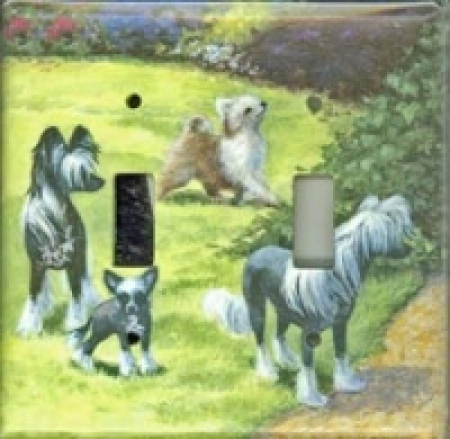 Chinese Crested 3A DLSP-P