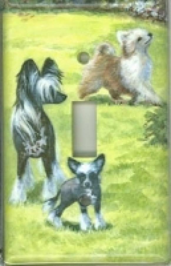 Chinese Crested 3A SLSP-P