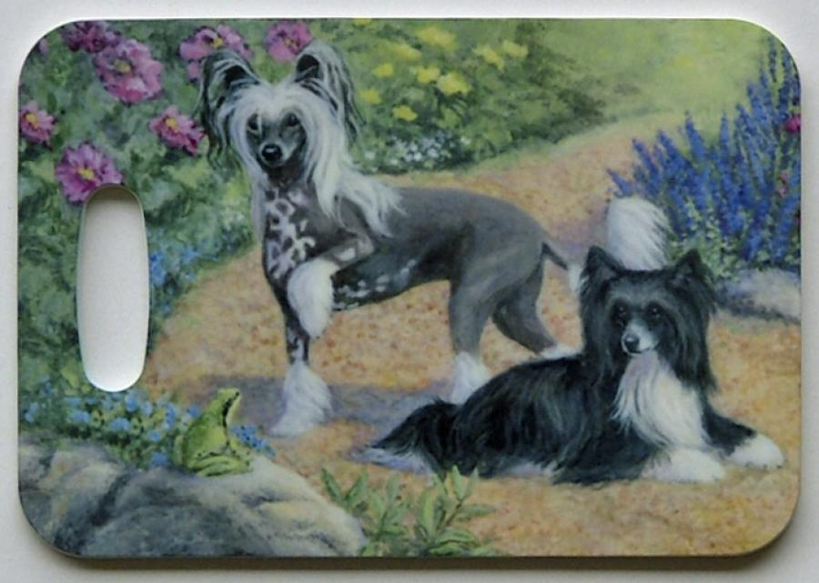 chinese crested 4-LT