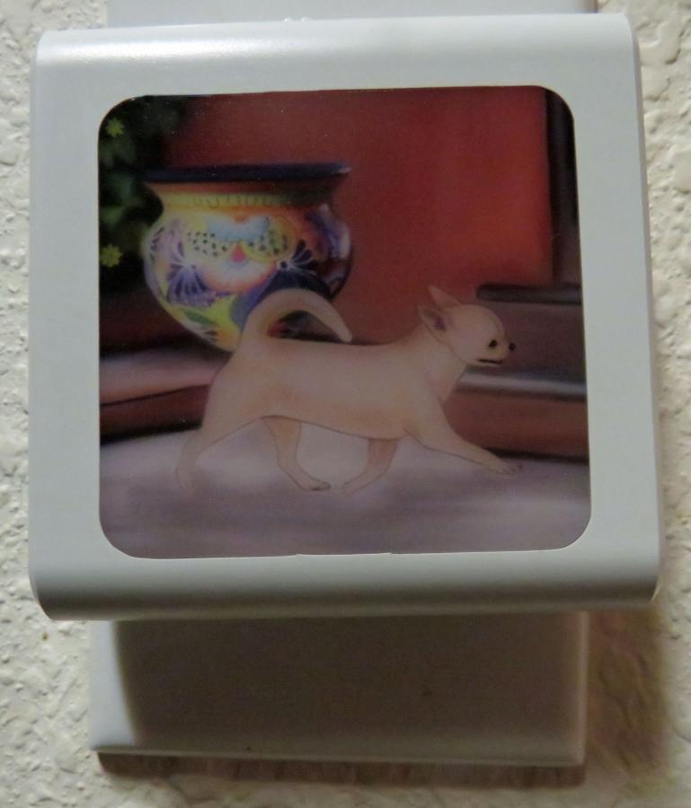 Chihuahua 4A nightlight-off