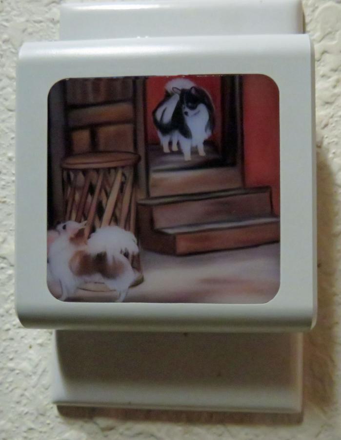 Chihuahua 4B nightlight-off