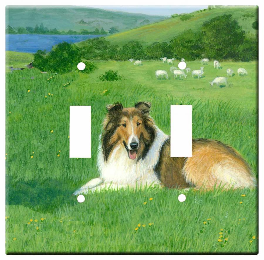 Collie 1a-dlsp