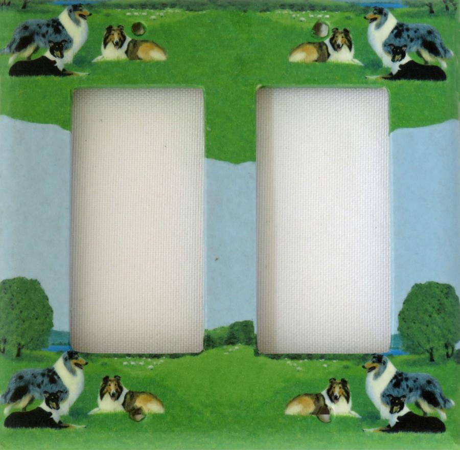 Collie 2A RDLSP-P