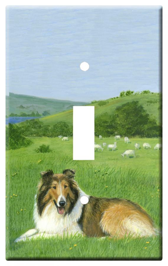 Collie 1a-slsp
