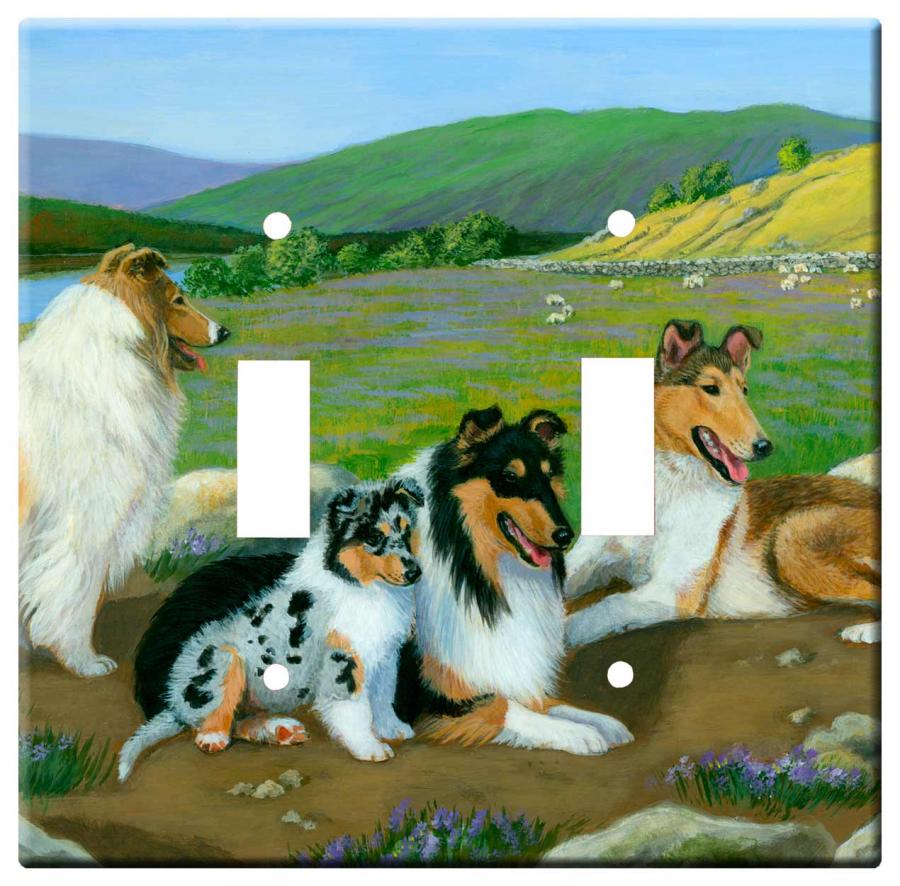 Collie 2a-dlsp