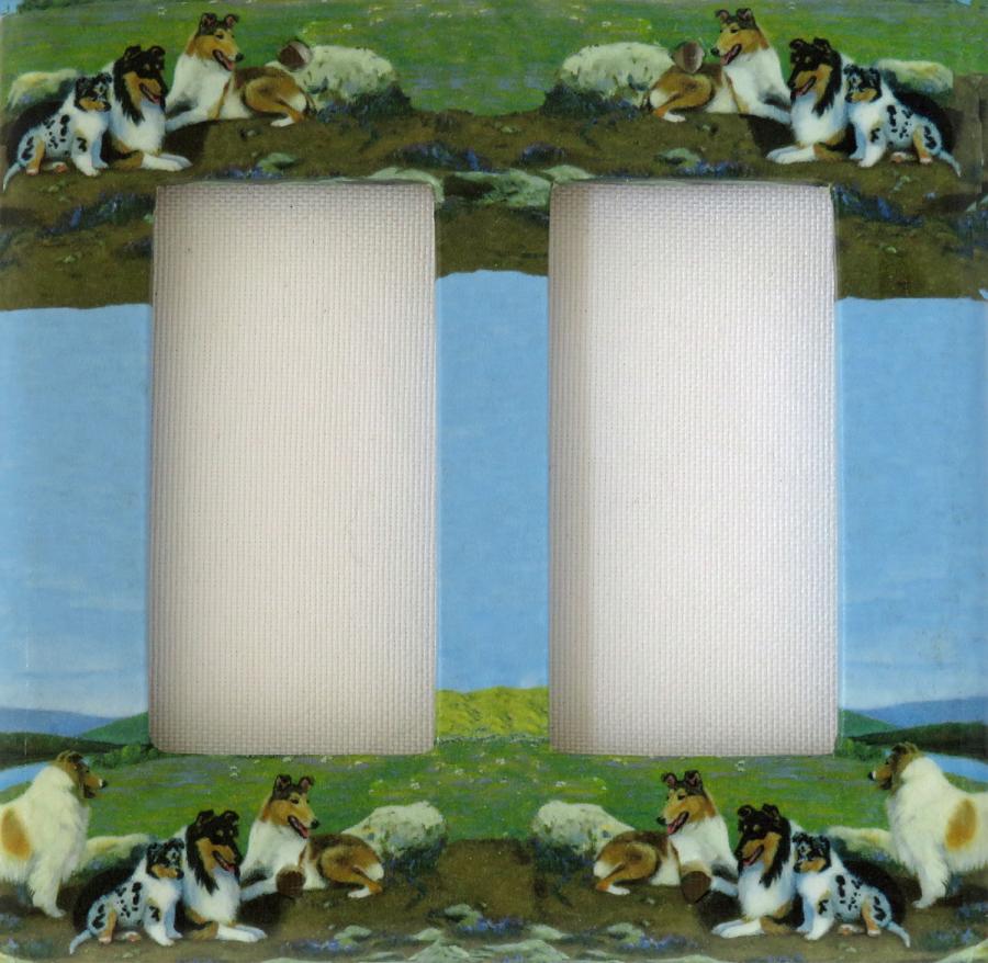 Collie 2A RDLSP-P